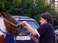 1 4-200x150 in Behandlung