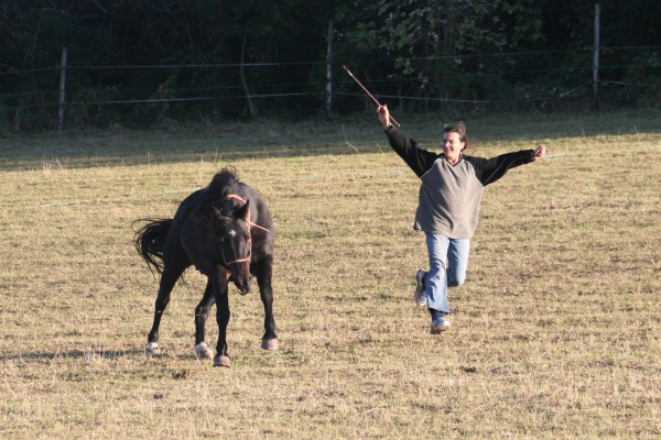 freude-am-pferd freude-am-pferd